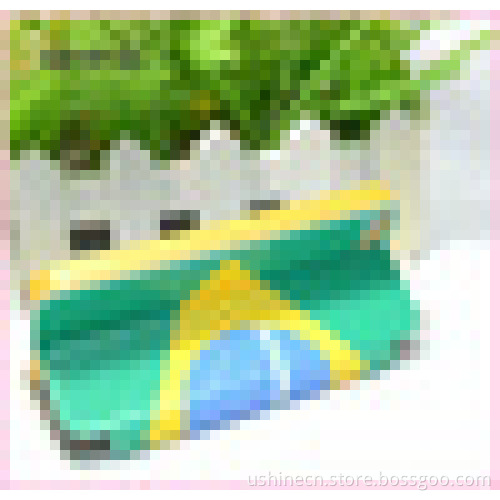 World Cup Brazil 2014 High Quality Leather case for iphone 5 5S